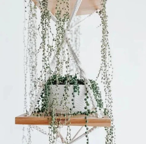 3 Tier Macrame Hanging Planter For Home - Leechoo